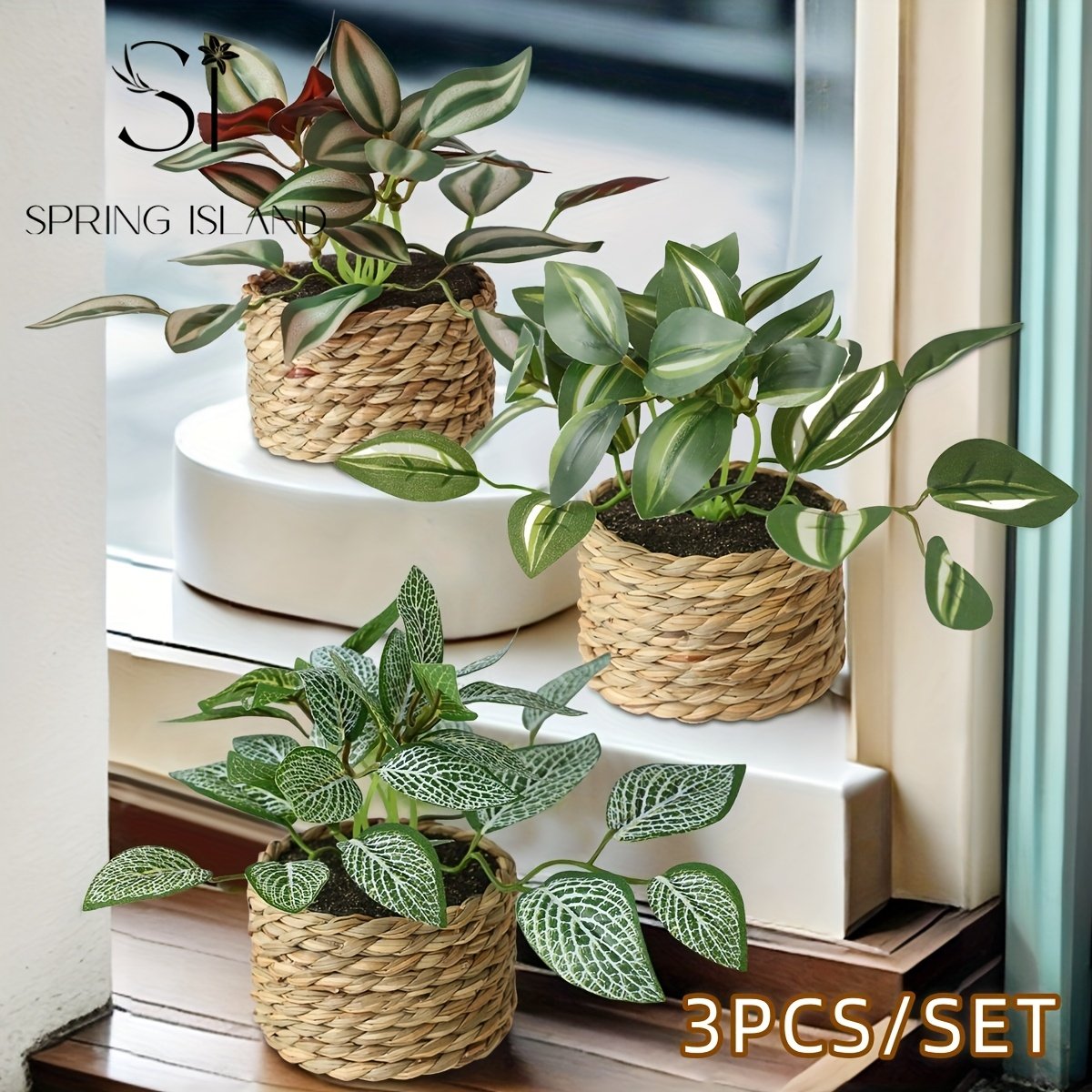 3 piezas/set Planta Artificial de Helecho de Ratán con Bola de Hierba, Planta Tropical Simulada con Maceta, Orquídea de Bambú Colgante con Vena Blanca, Decoración de Peperomia, Zebrina, Inchplant, Peperomia, Fittonia, Verde, Material PE, Fibra de Poliéster, Venta al por Mayor, Flor Artificial